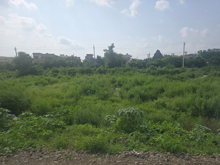 undefined, sector 21  165 Sq.Yd. Plot In Sector 21 Panchkula 9083283