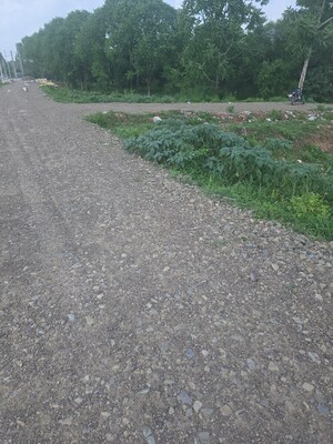 Plot Area in  Plot at Sector 21 – for Sale