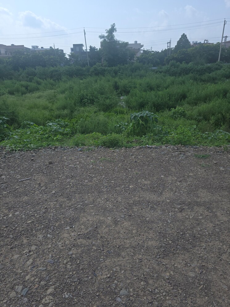 undefined, sector 21  165 Sq.Yd. Plot In Sector 21 Panchkula 9083283