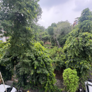 2 BHK Apartment – Garden View at Lajpat Nagar - for Sale