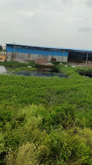  Plot For Sale in Beldarichak