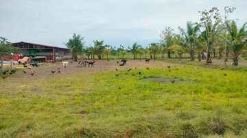 Plot Area in  Plot at Mathuranthakam – for Sale