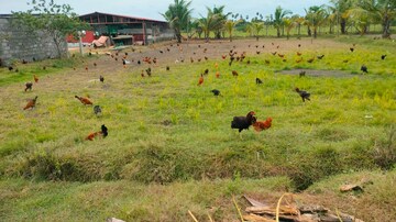  Plot – Garden View at Mathuranthakam - for Sale