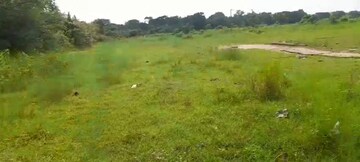  Plot For Sale in Namkum