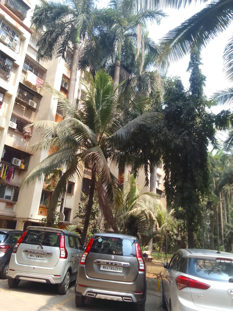 1 BHK 560 Sq.Ft. Apartment in Raj Satyam CHS