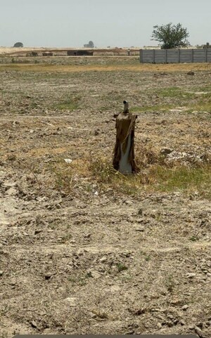 Plot Area in  Plot at CBPL Mount Attalia, Jewar – for Sale