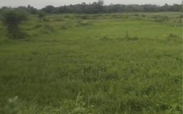 Land For Sale in Patparganj
