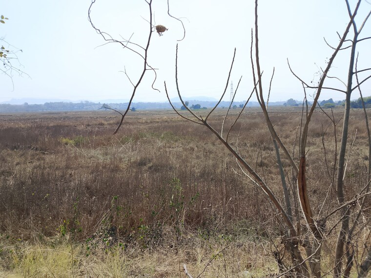 undefined, dronagiri Commercial Land 6535 Sq.Ft. In Dronagiri Navi Mumbai 9083918