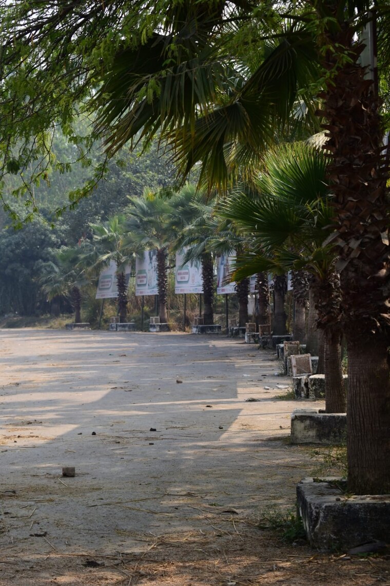 Garden, wing-lucknow-greens-plots  1799 Sq.Ft. Plot In Sultanpur Road Lucknow 9084171