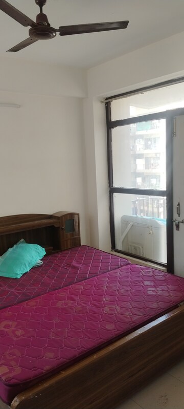 Room in 1 BHK Apartment at Auric City Homes, Sector 82 – for Rent