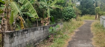  Plot For Sale in Kolazhy