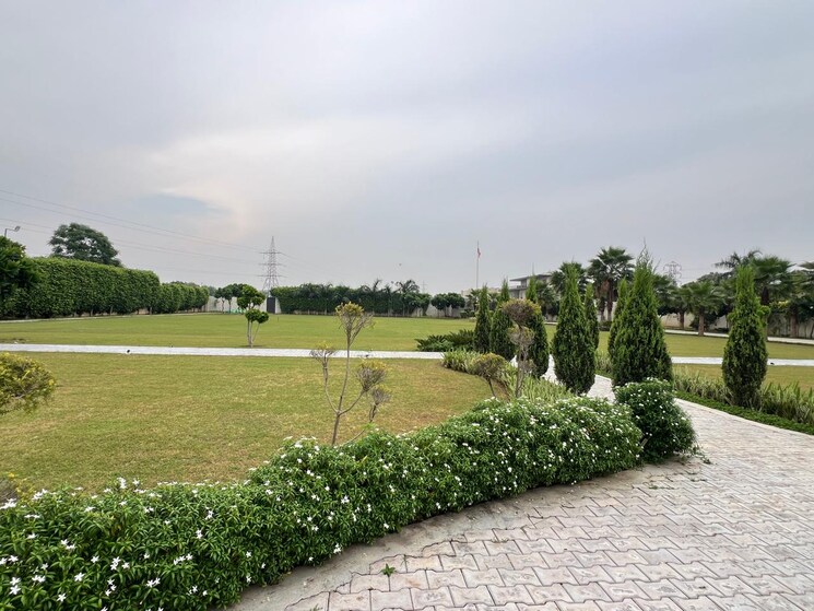 Garden, shanti kunj 6+ Bedroom 65340 Sq.Ft. Villa In Shanti Kunj Delhi 9084560