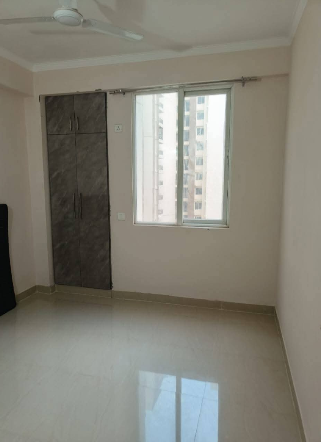 2.5 BHK Apartment For Rent in Amrapali Golf Homes