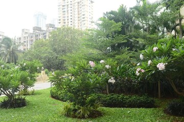 2 BHK Apartment – Garden View at Ashok Gardens, Sewri - for Rent