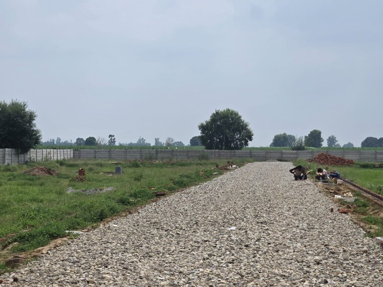 undefined, rohta road  100 Sq.Yd. Plot In Rohta Road Meerut 9085373