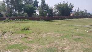  Plot For Sale in Sherpur