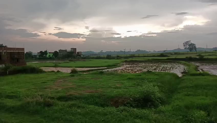 Plot For Sale in Pundag