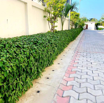 Building Lobby in 3.5 BHK Apartment at Gandharva Imperial Crest, Amar Shaheed Path – for Sale