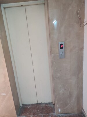  6+ BHK Independent House at Green Park Extension – for Rent