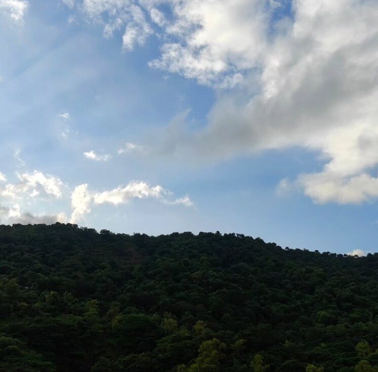 undefined, kalpataru-hills 2 Bedroom 881 Sq.Ft. Apartment In Manpada Thane 9085873