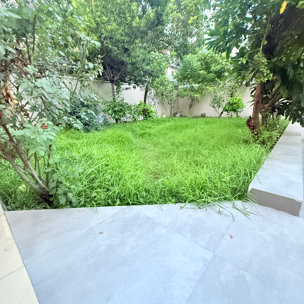 3 BHK + Extra Room Independent House For Rent in Sector 105