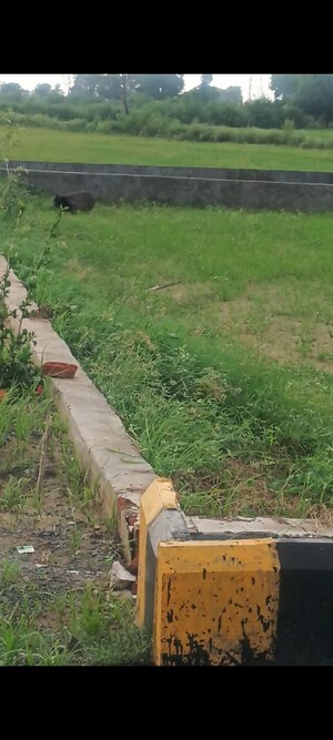  Plot For Sale in CBPL Mount Attalia, Jewar