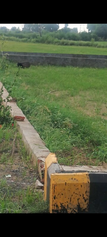 Plot For Sale in CBPL Mount Attalia, Jewar