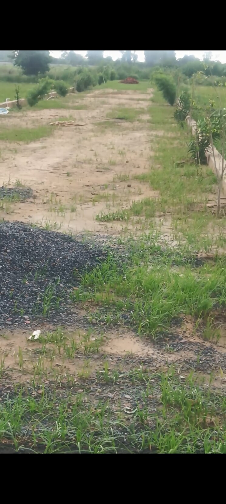 undefined, cbpl-mount-attalia  60 Sq.Yd. Plot In Jewar Greater Noida 9086146