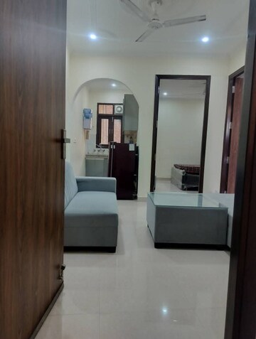 Living Room in 1 BHK Apartment at Boutique Residential Apartments C-220, Malviya Nagar – for Rent