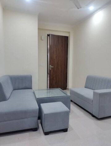 Living Room in 1 BHK Apartment at Boutique Residential Apartments C-220, Malviya Nagar – for Rent