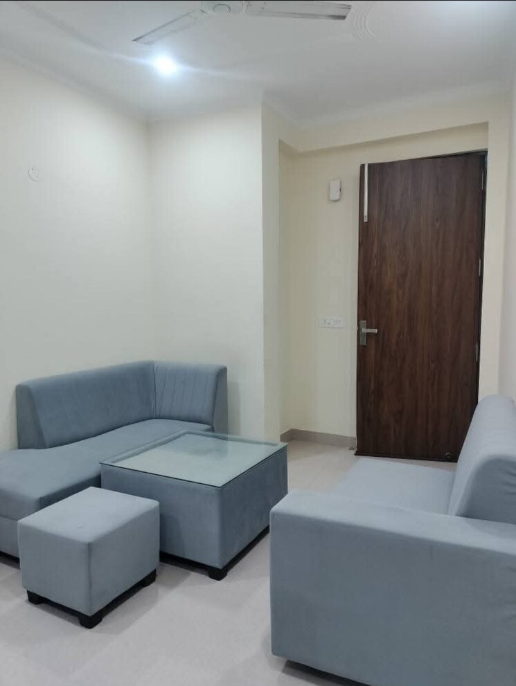 Living Room, boutique-residential-apartments-c-220 1 Bedroom 127 Sq.Ft. Apartment In Malviya Nagar Delhi 9086197