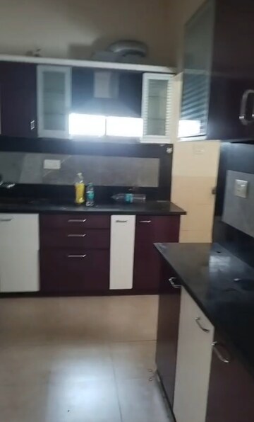 Kitchen in 2 BHK Apartment at My Home Jewel, Madinaguda – for Rent