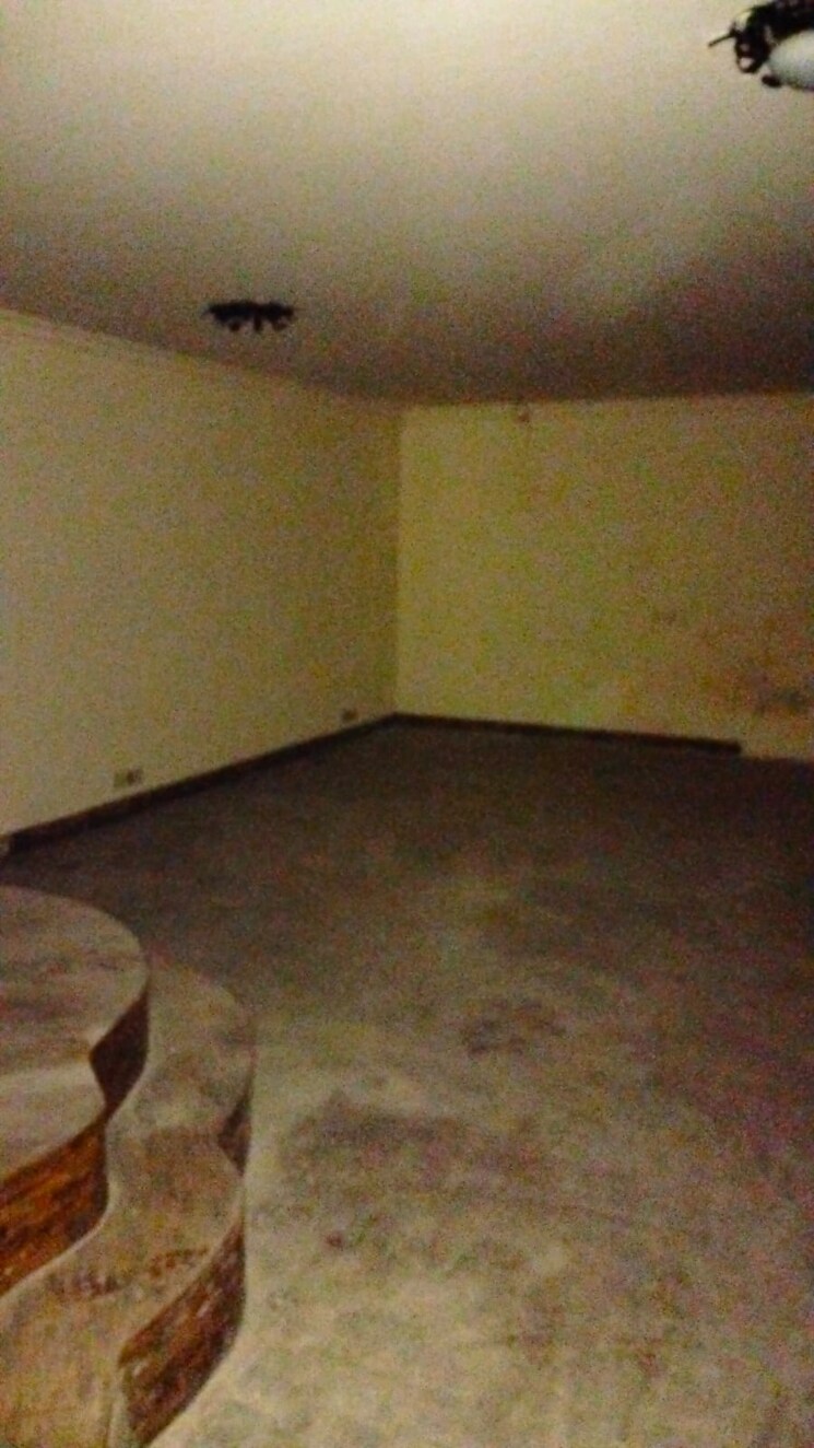 Bedroom, greater kailash ii 4 Bedroom 315 Sq.Yd. Builder Floor In Greater Kailash ii Delhi 9086462