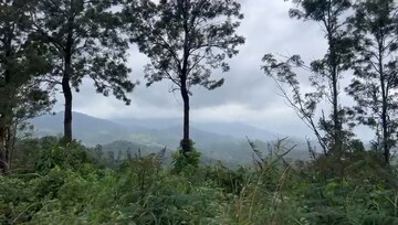 Plot Area in  Plot at Vythiri – for Sale