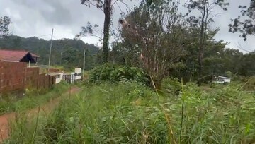 Plot Area in  Plot at Vythiri – for Sale
