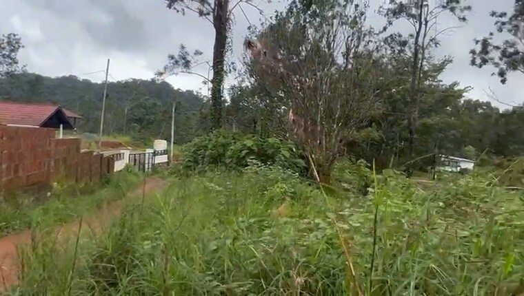 undefined, vythiri  10875 Sq.Ft. Plot In Vythiri Wayanad 9086483