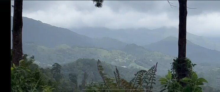 Exterior View, vythiri  10875 Sq.Ft. Plot In Vythiri Wayanad 9086483