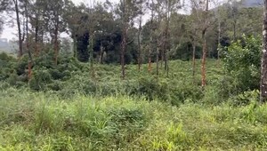  Plot For Sale in Vythiri