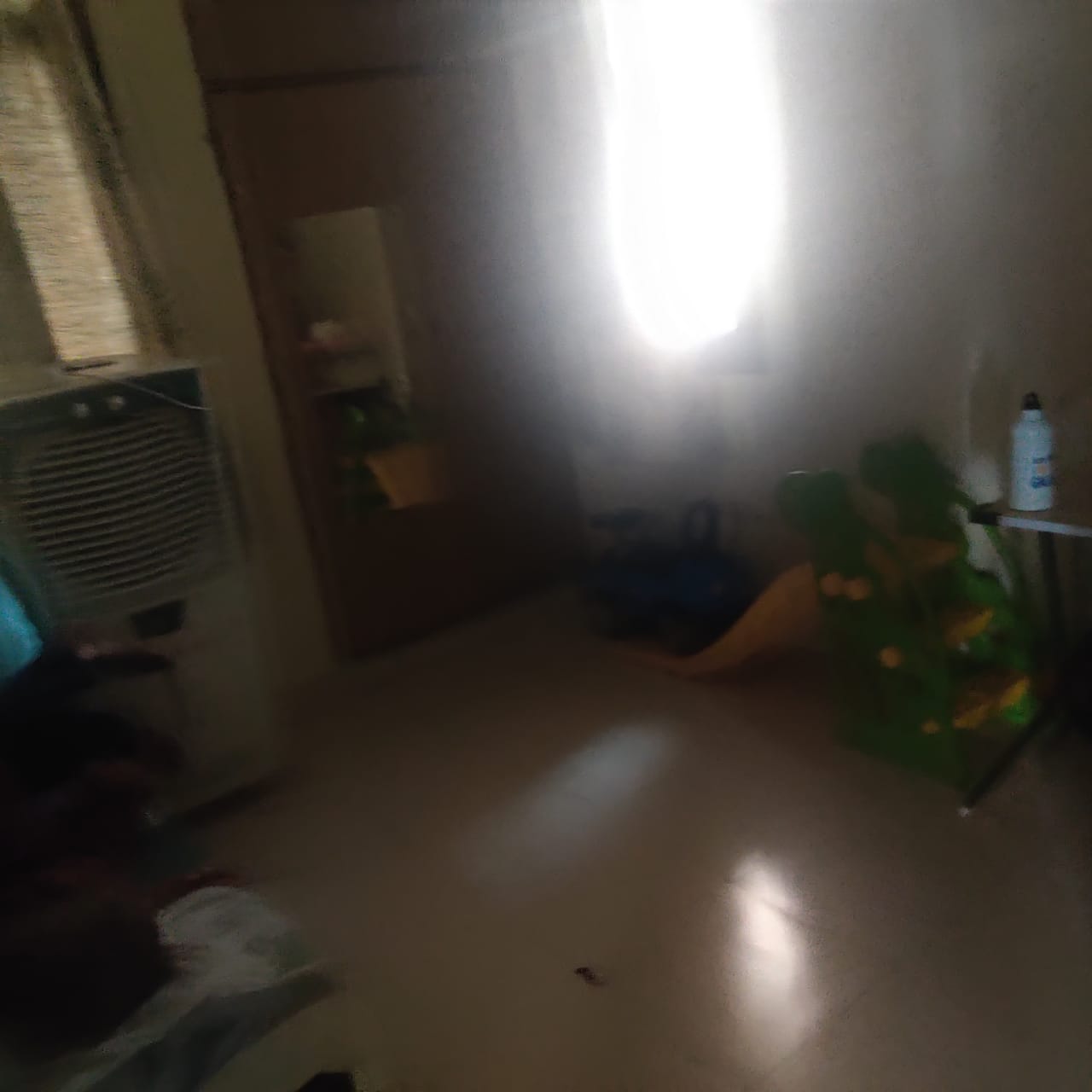 2 BHK + Study Room Apartment For Rent in Army Sispal Vihar