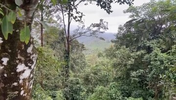  Plot For Sale in Vythiri