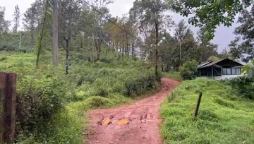 Plot Area in  Plot at Vythiri – for Sale