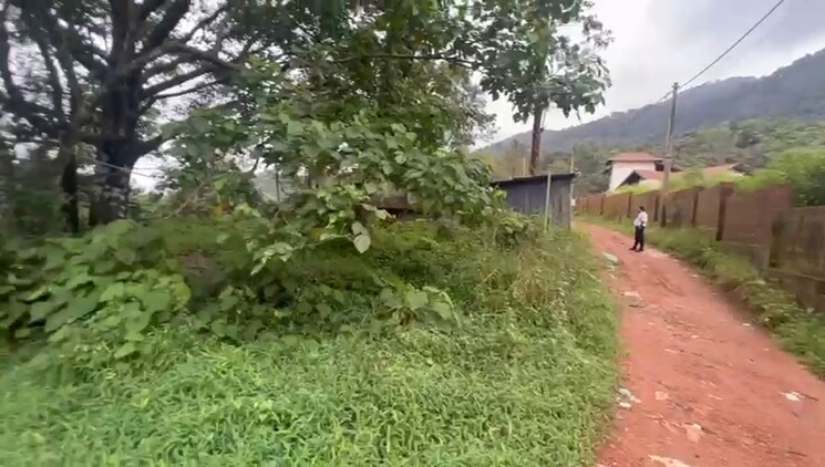 Garden, vythiri  21750 Sq.Ft. Plot In Vythiri Wayanad 9086543