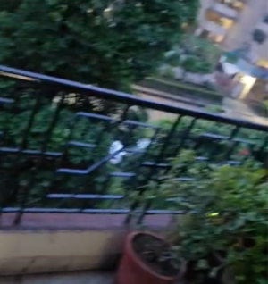  3 BHK Apartment at Sector 20 – for Sale