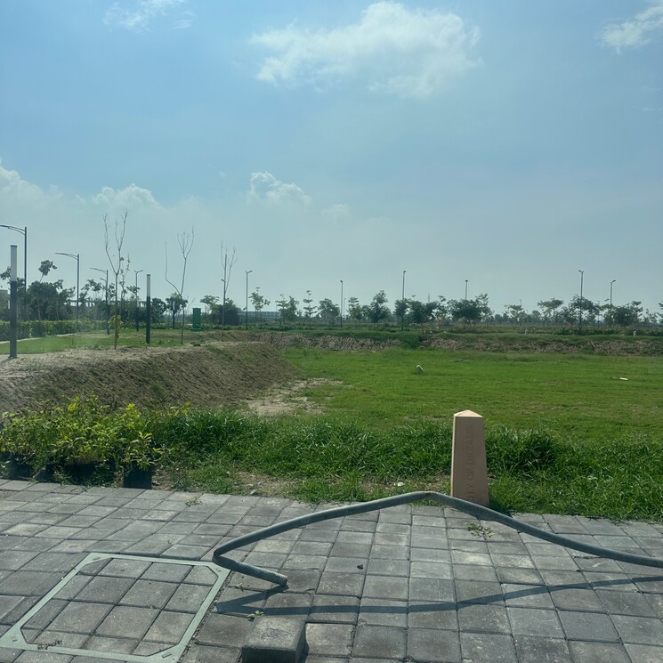 undefined, tdi city  145 Sq.Yd. Plot In Tdi City Panipat 9086807