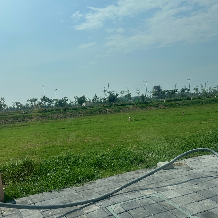 undefined, tdi city  145 Sq.Yd. Plot In Tdi City Panipat 9086807