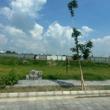 Plot Area in  Plot at Tdi City – for Sale