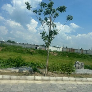 Plot Area in  Plot at Tdi City – for Sale