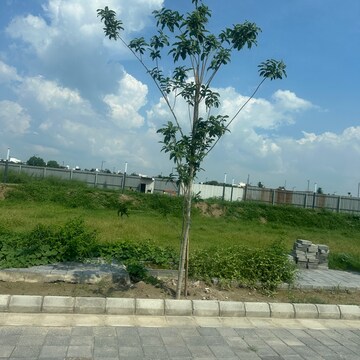 Plot Area in  Plot at Tdi City – for Sale