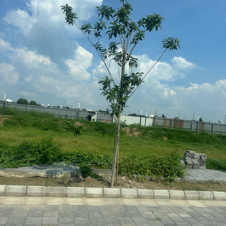 undefined, tdi city  145 Sq.Yd. Plot In Tdi City Panipat 9086807