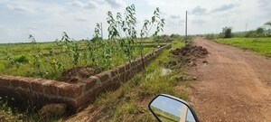 Plot Area in  Plot at Patrapada – for Sale